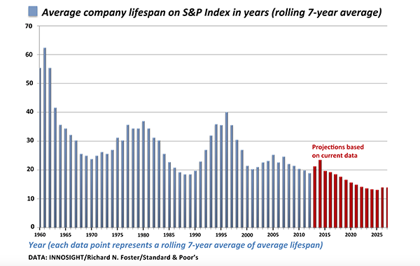 Company Lifespan